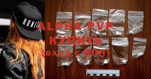 хмурый Тайга