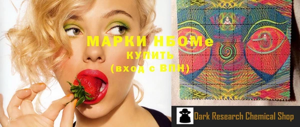 хмурый Тайга